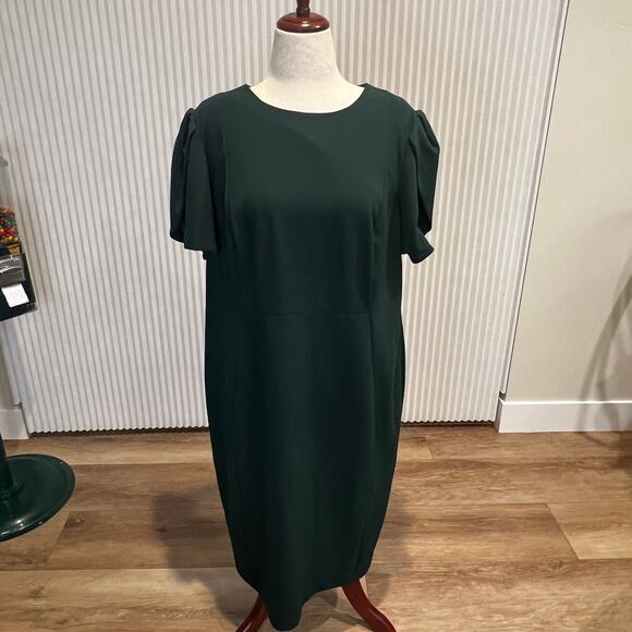 CALVIN KLEIN Women's Tulip-Sleeve Sheath Knee-length Dress Size 16W In Green - Picture 1 of 8